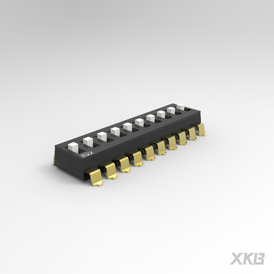 DSIC10LS-P-XKB Connectivity